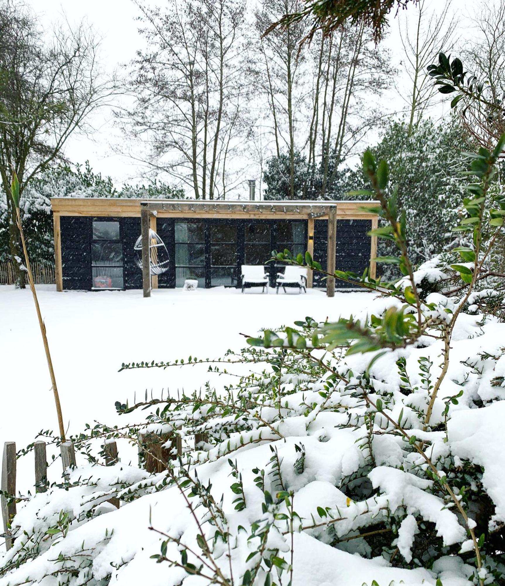 Hoogtij°D Bed and Breakfast Oostvoorne Eksteriør billede